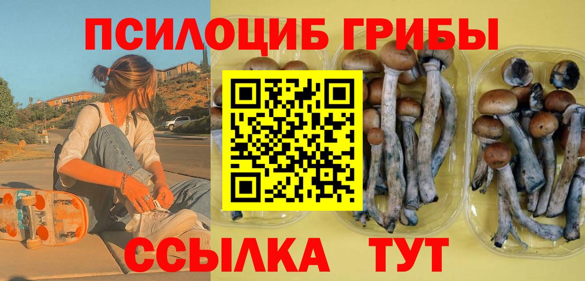 Осинники  Галлюциногенные грибы Psilocybe  магазин  наркотиков  Вход с VPN 