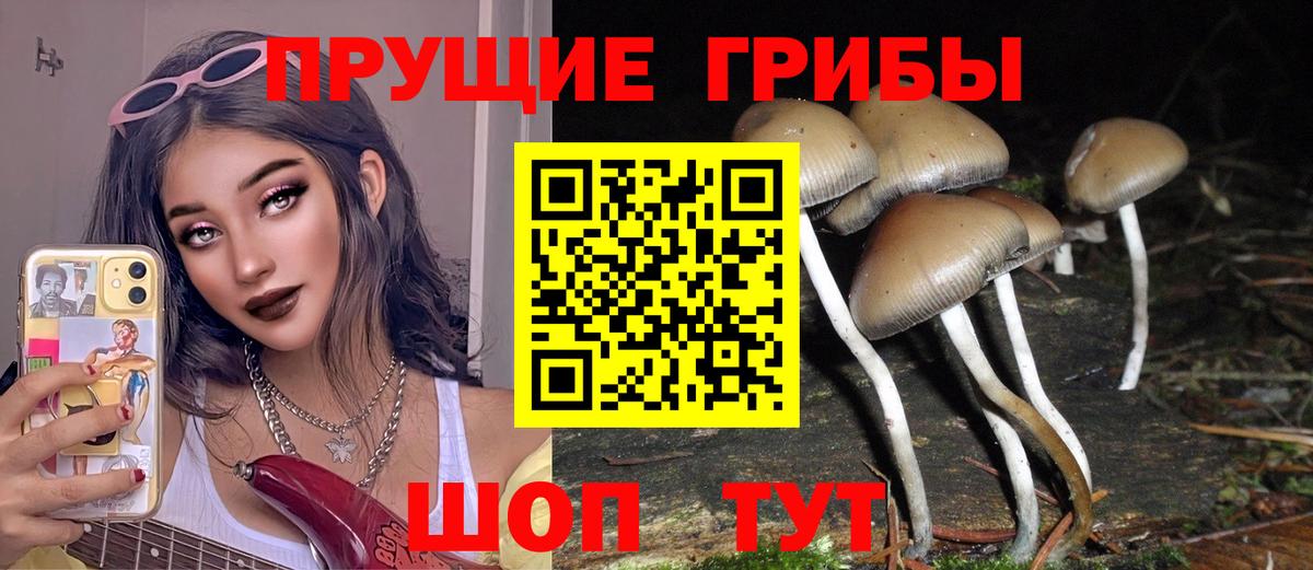 Псилоцибиновые грибы мухоморы Осинники